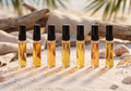 Summer discovery pack