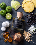 Adonis | Inspired by Creed Aventus